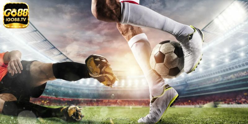 da dang san pham ca cuoc tai san choi sbobet Đa dạng sản phẩm cá cược tại sân chơi SBOBET