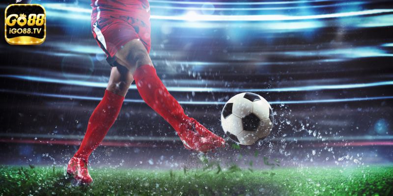 gioi thieu ve sbobet go88 Giới thiệu về SBOBET Go88